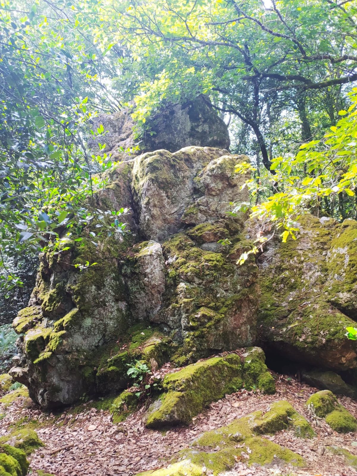 La Légende de la Pierre Aiguë