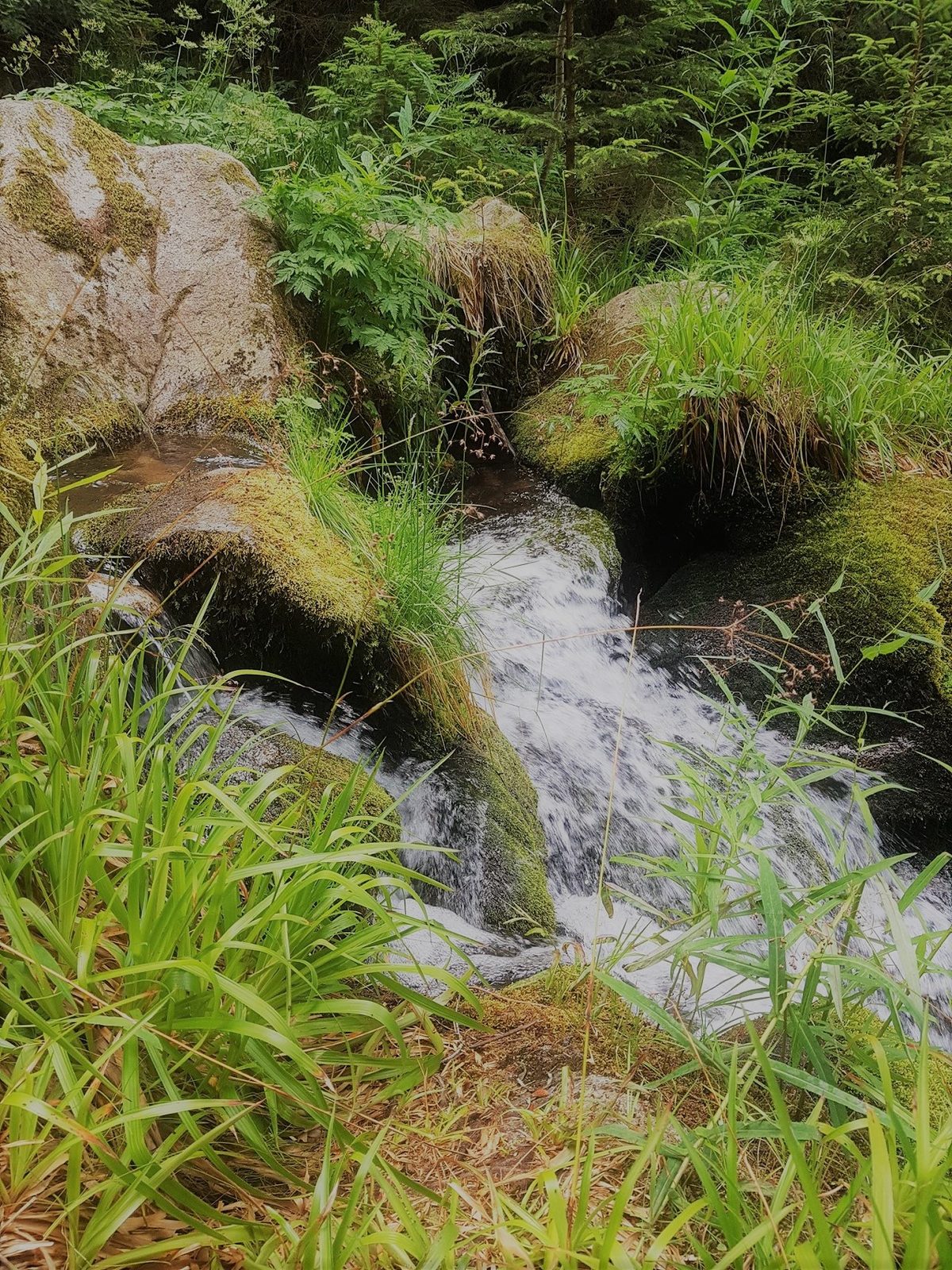 Cascade du Rudlin – Gazon du Faing