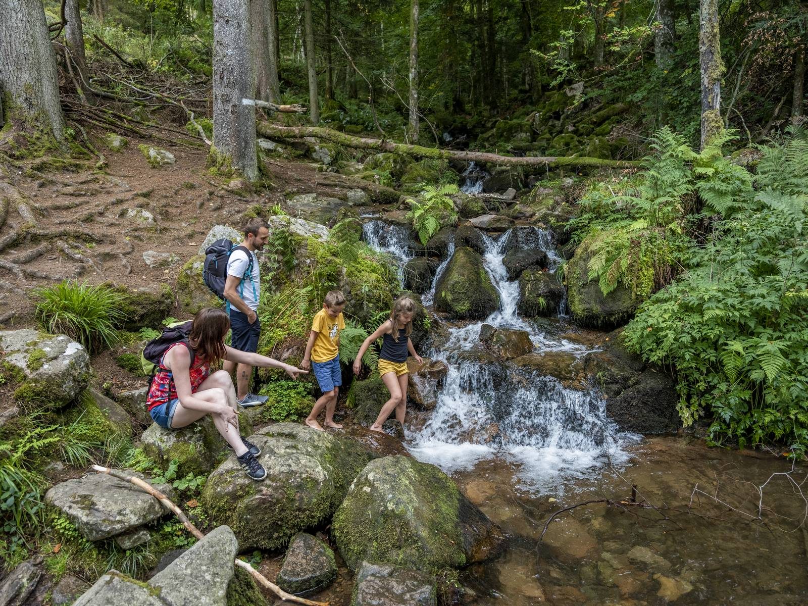 La cascade de la Serva par le Sommerhof