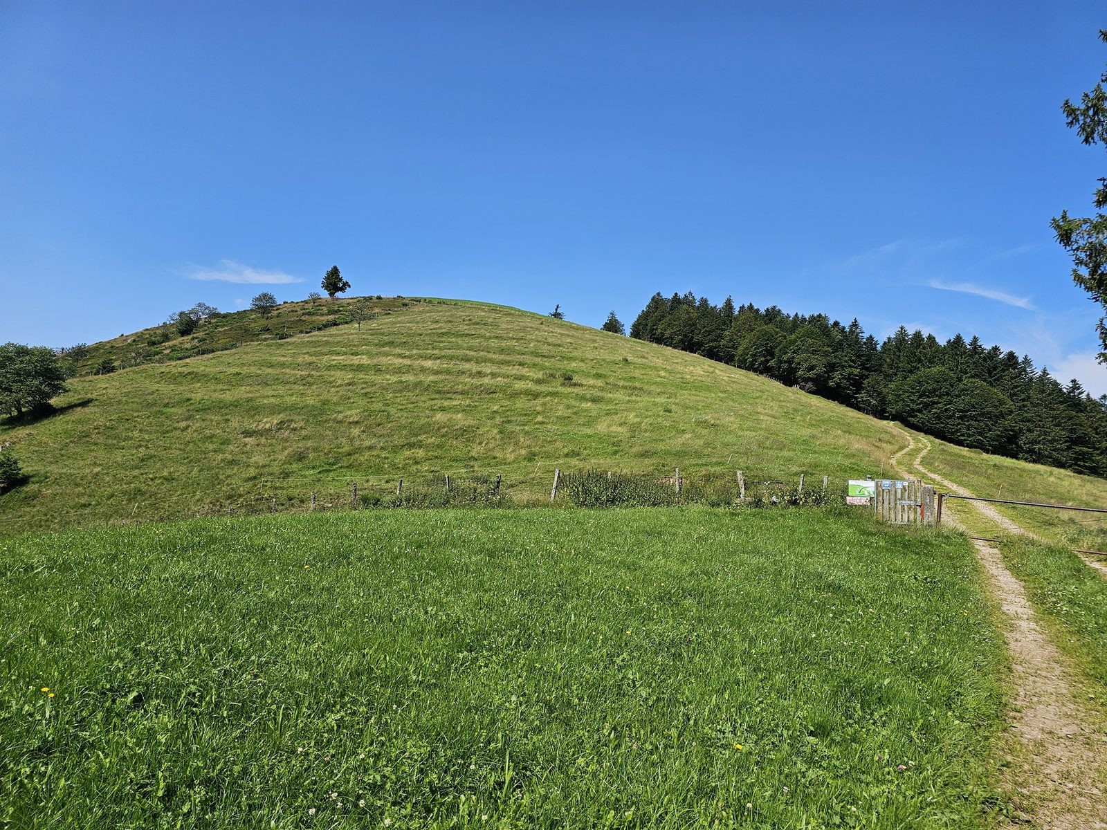 La Tête des Corbeaux