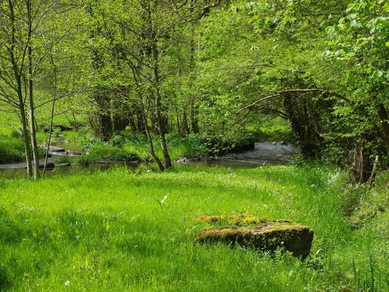 Du Roucamps à la Souleuvre