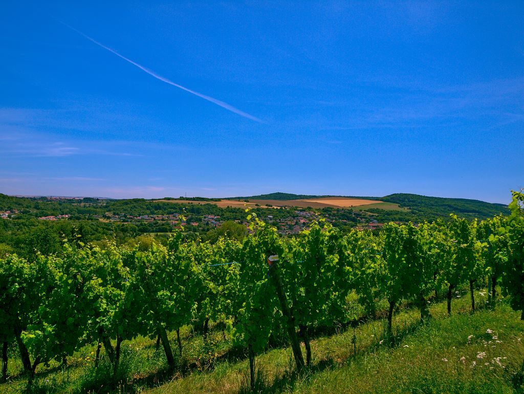 La vallée de la Moselle