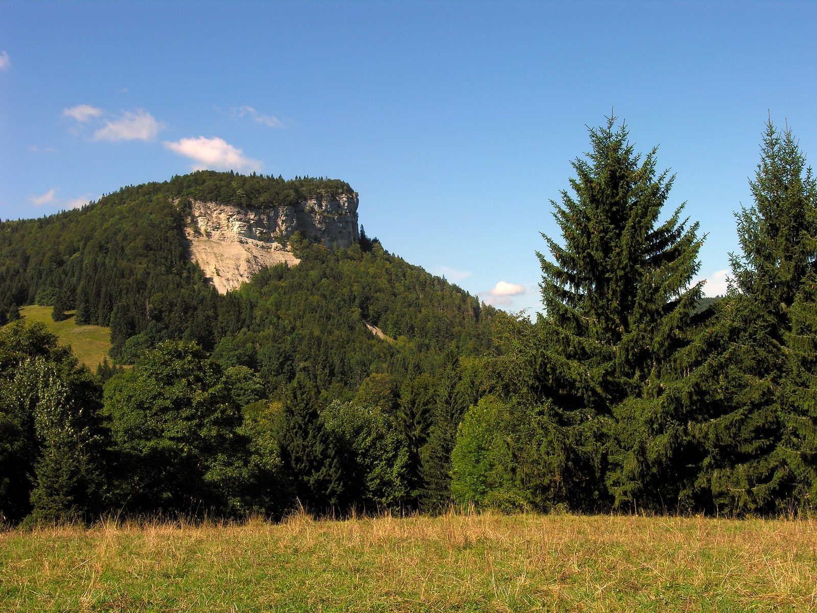 Le Mont Fier