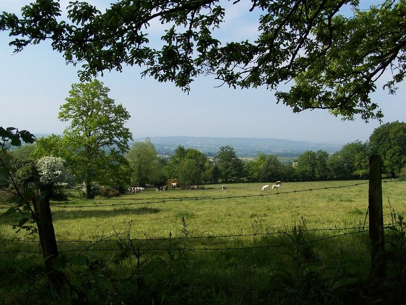 Le sentier des bruyères
