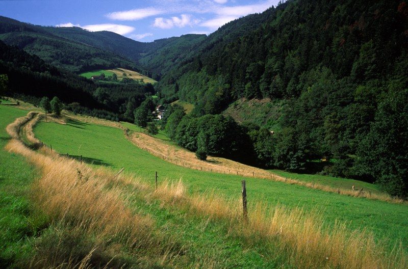 Le Tour du Rauenthal