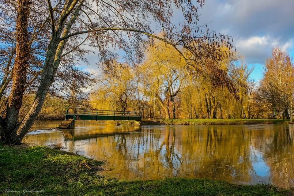 Promenade dans la campagne icaunaise