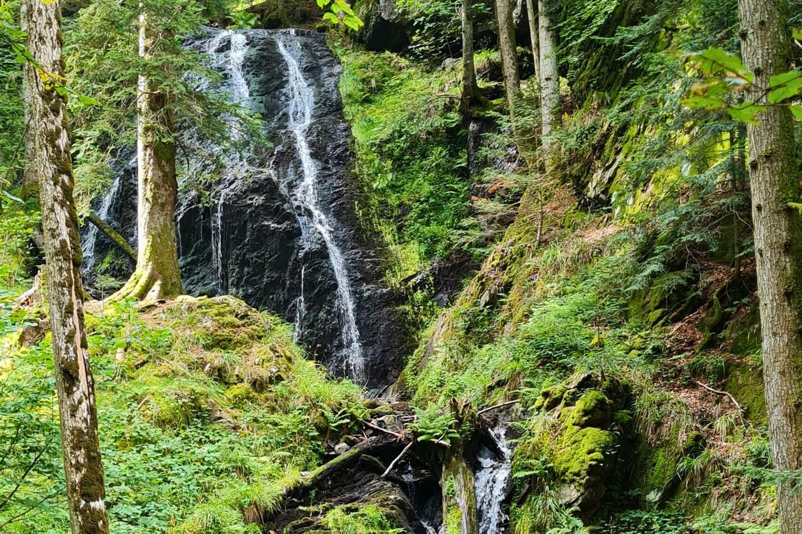 Sewen : Chaumes du Langenberg et Wissgrut