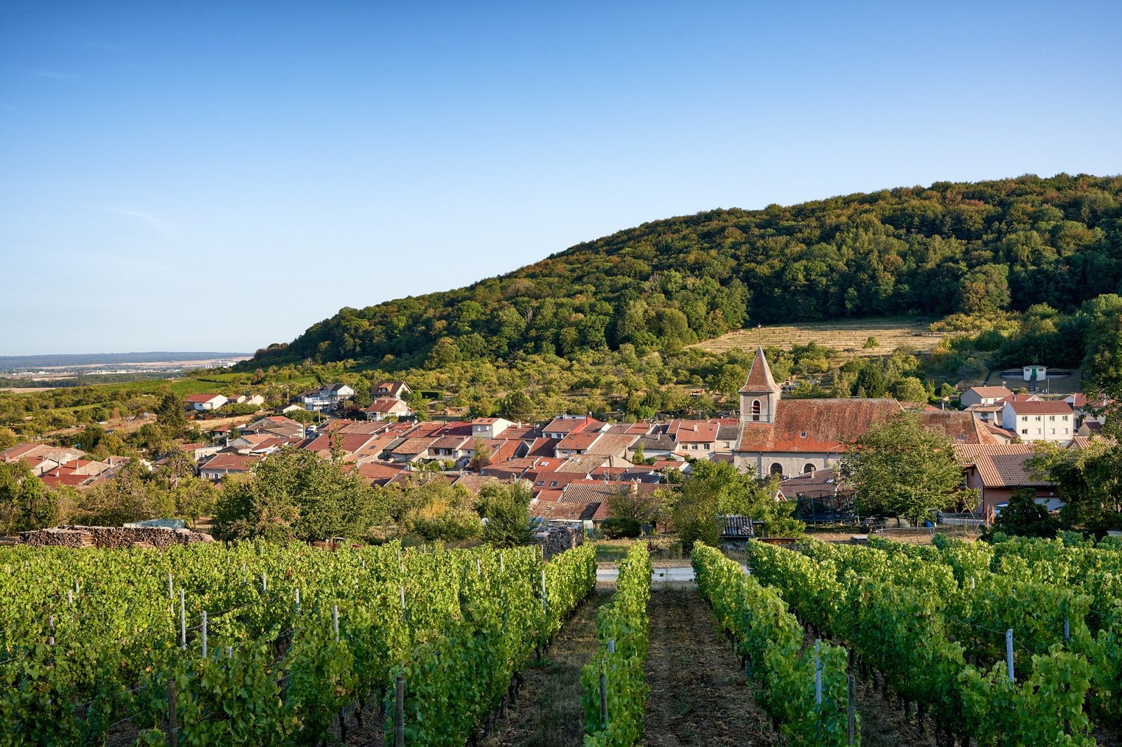 Route touristique des côtes de Toul