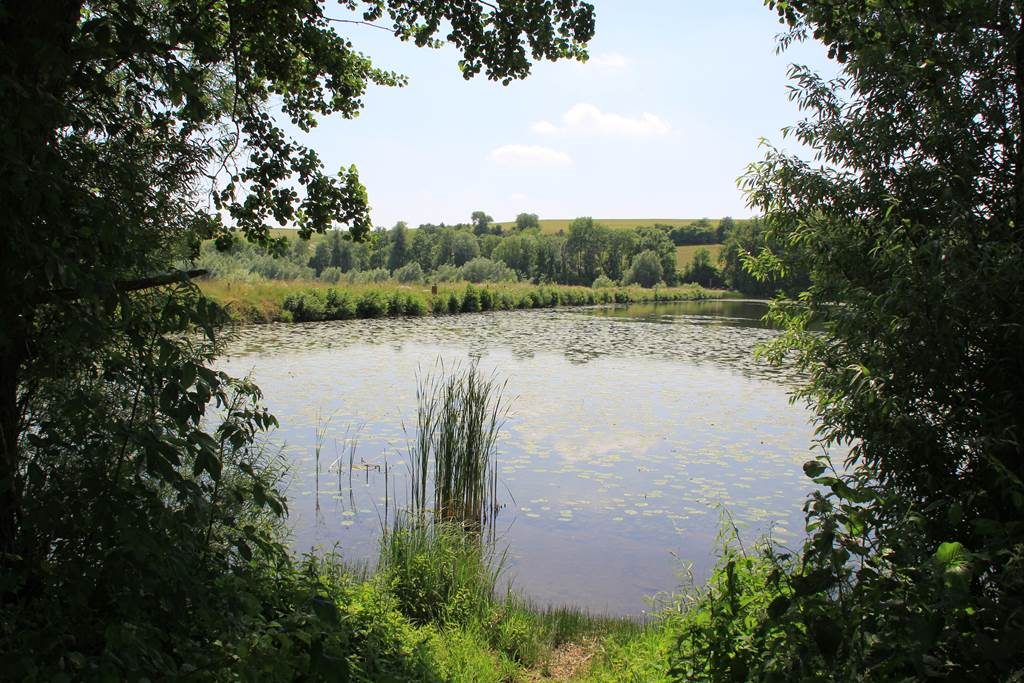 Sentier découverte du Vieil-Étang de Bairon