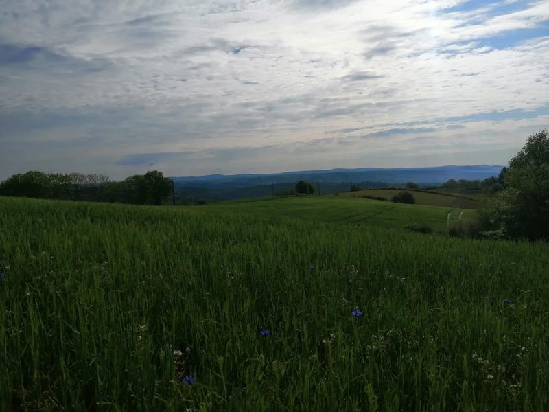 [object Object]