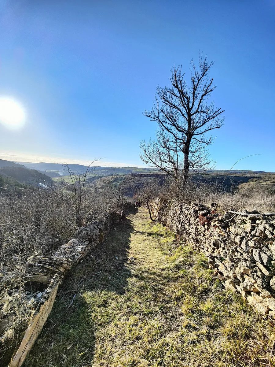 Trail d'Aqui – Coubisou