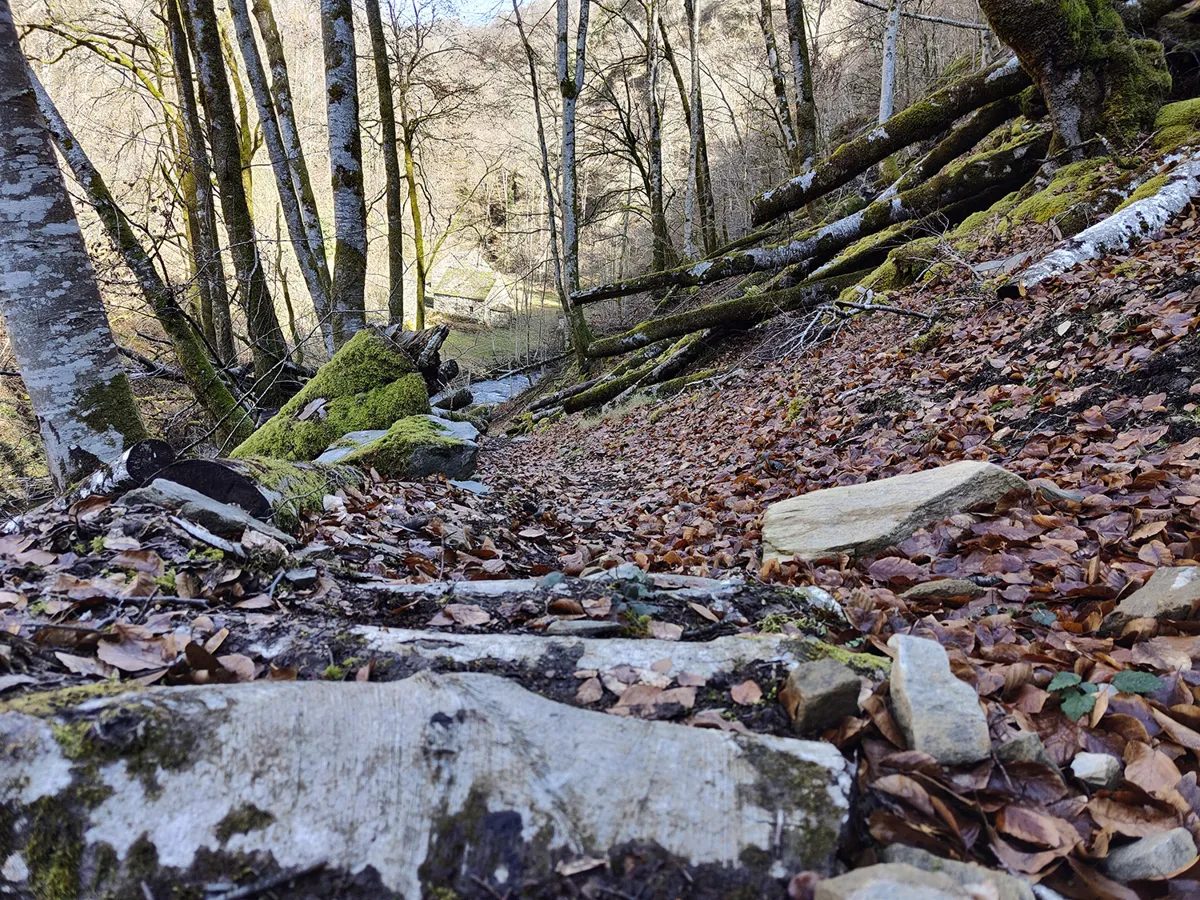 Trail d'Aqui – Saint Côme d'Olt